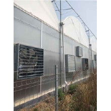 玻璃鋼無動力風(fēng)機(jī)價(jià)格 玻璃鋼無動力風(fēng)機(jī)批發(fā) 玻璃鋼無動力風(fēng)機(jī)廠家 